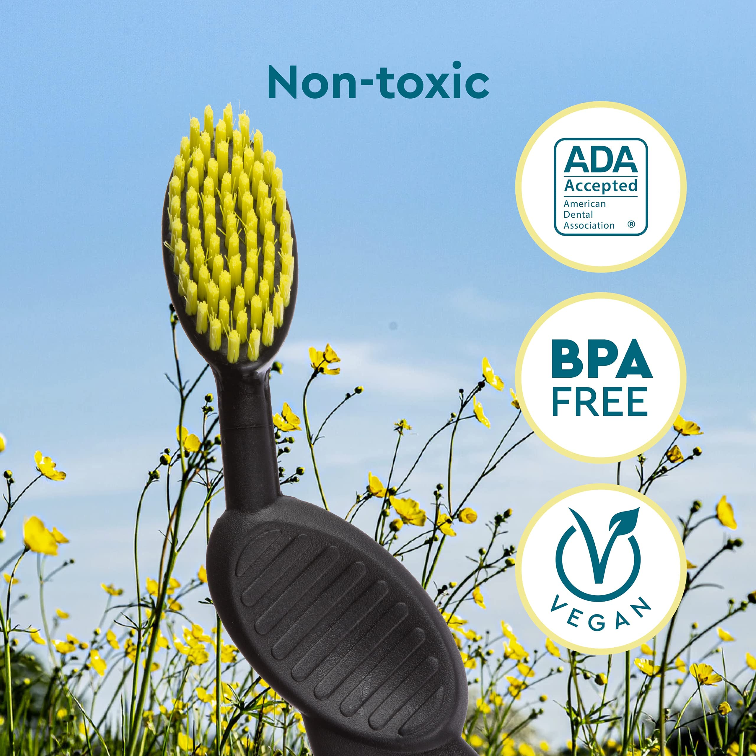 263-radius-toothbrush-flex-brush-soft-bristles-right-handed-watermelon-brush-with-white-bristles-bpa-free-ada-accepted-pack-of-1-black-white-1-count-pack-of-1-right-handed-brush-black-whitex1-count-pack-o-variation-1.jpg